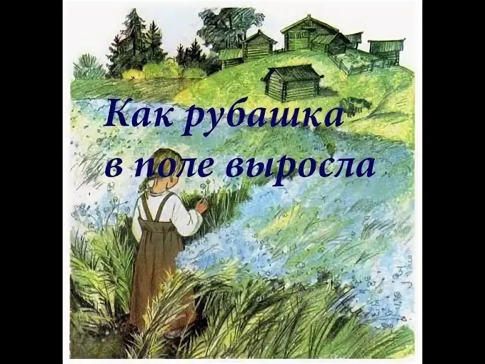 Как рубашка в поле выросла читать. Как в поле рубашка выросла смотреть картинки. как рубашка в поле росла слушать.