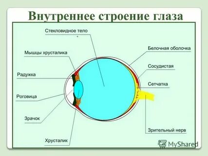 Что находится за чертой