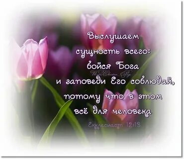Бог есть песня