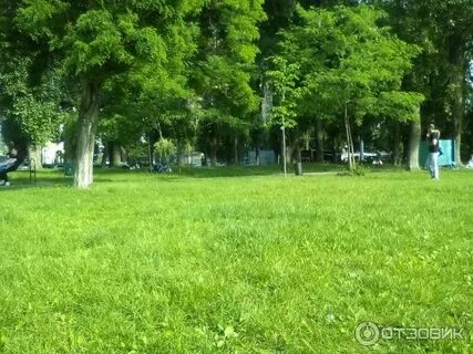 Старый тихий парк
