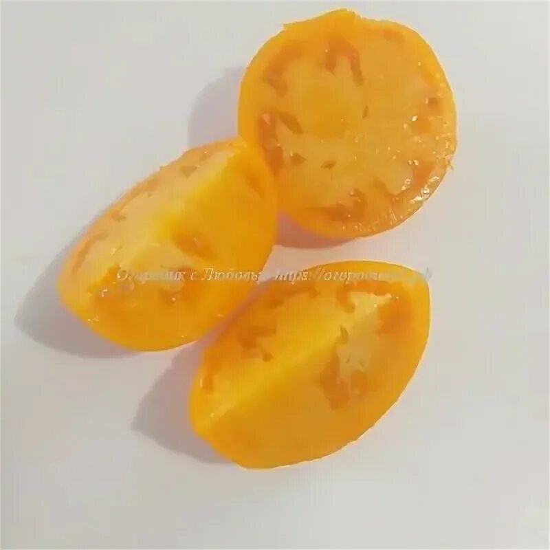 Сорт томата топ модель. Сорт томата топ модель
