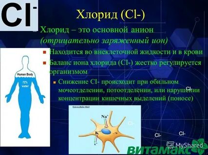 Хлорид анион