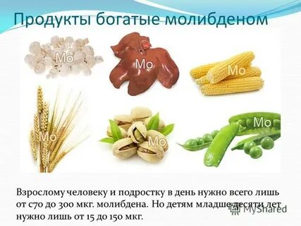 Роль молибдена в организме человека