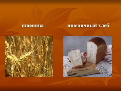 Хлеб синоним