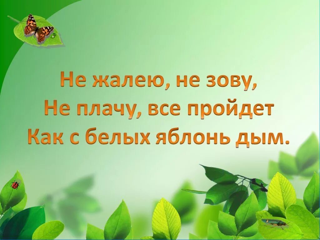 Не жалейте не зовите