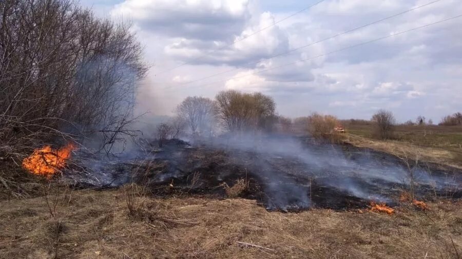 Сжигание сухой растительности. Горит сухая трава. Горение травы на поле. Горение степи.