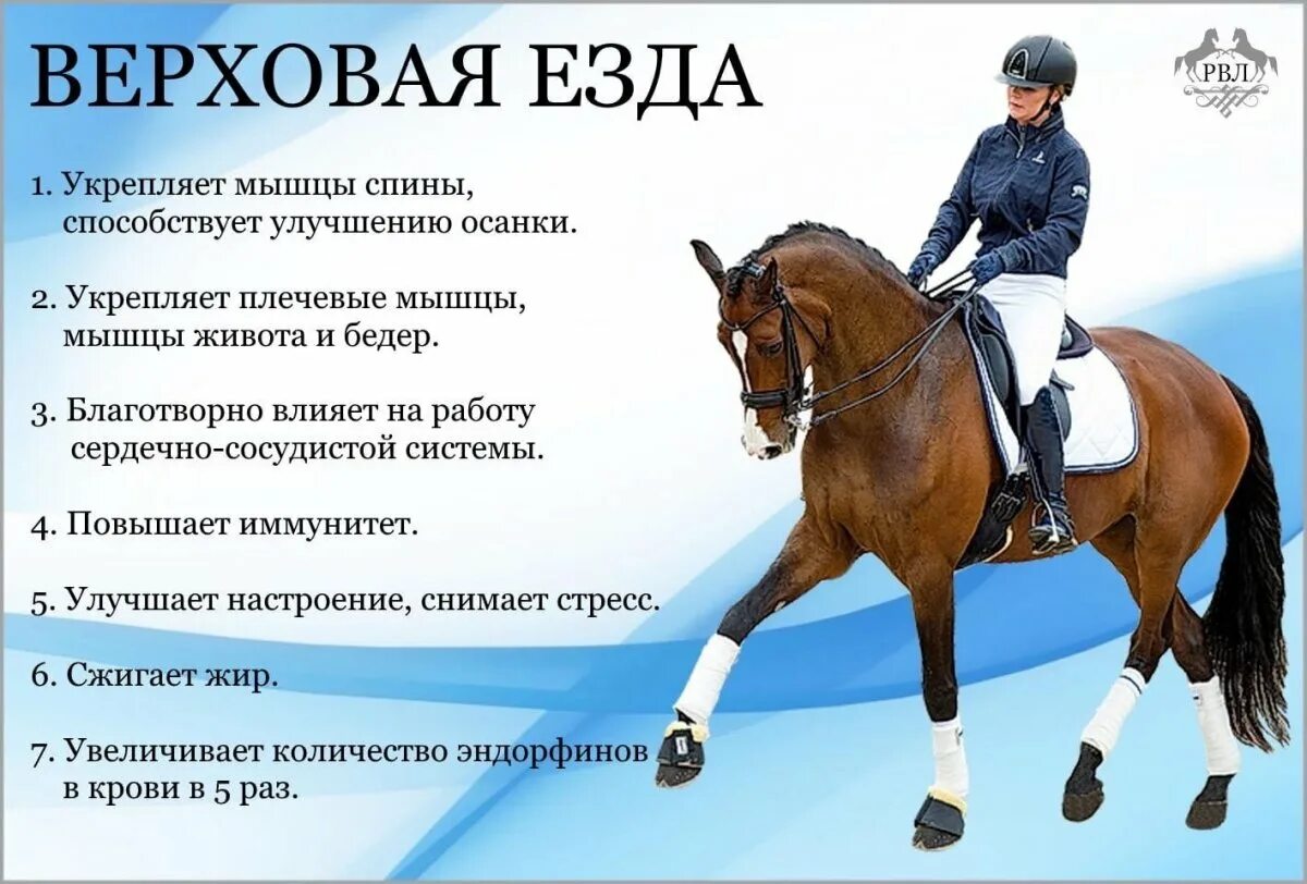 Положение кск