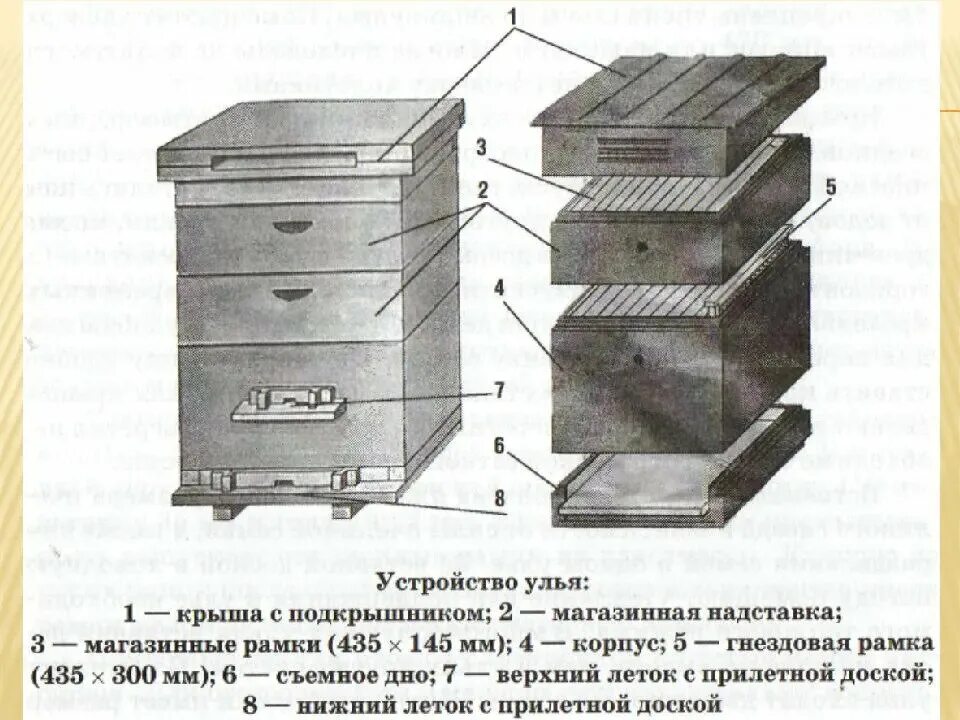 Что входит в базовую часть умного улья. Строение улья Дадан. Конструкция улья. Леток для улья. Конструкция пчелиного улья.