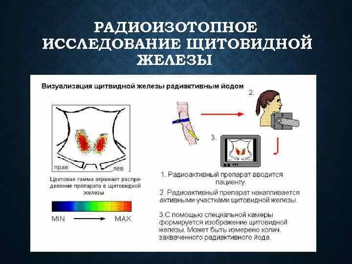 Исследование изотопами. Сцинтиграфическое исследование щитовидной железы. Радионуклидное исследования функции щитовидной железы. Подготовка к радиоизотопному исследованию щитовидной железы. Радиоизотопное исследование при заболеваниях щитовидной железы.