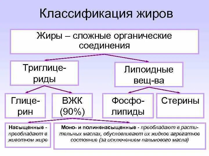 1 группа жиры