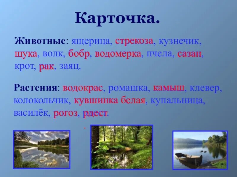 Сообщение на тему водоем. Водоемы окружающий мир. водоемы 4 класс окружающий мир. презентация на тему водоемы. сообщение о водоемах.