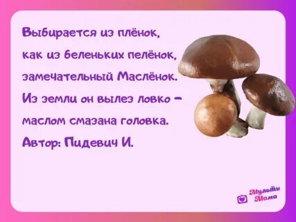Стихи про грибы короткие