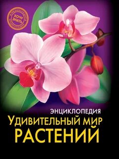 Мир цветов книга