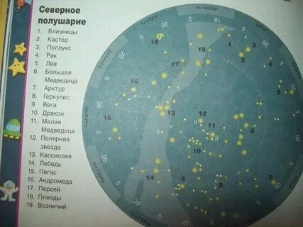 Созвездие южного полушария образующее группу южные птицы