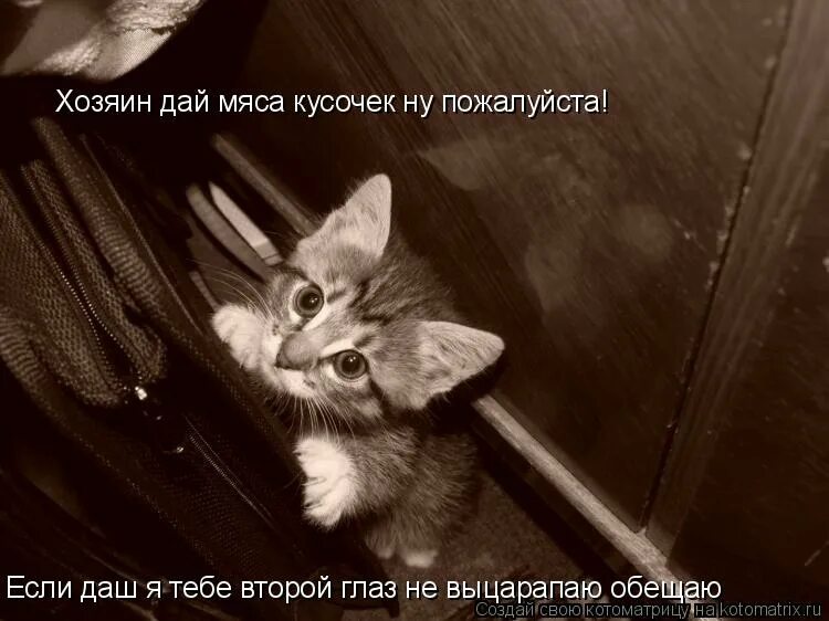 Хозяин давай