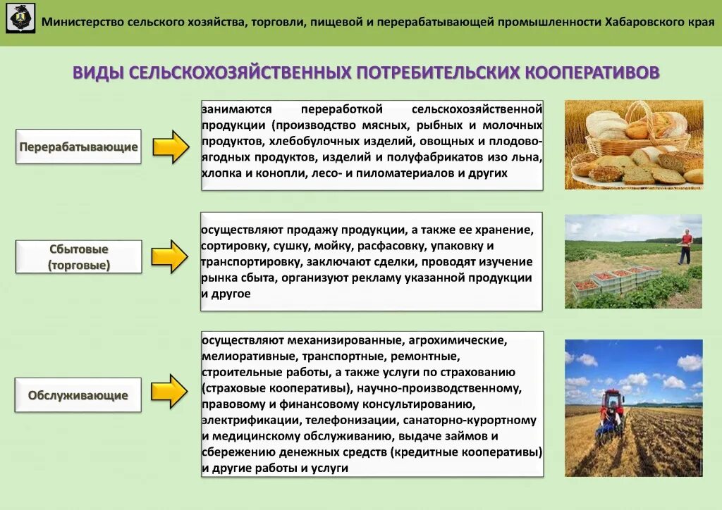 К сельскохозяйственным организациям относятся. Виды сельскохозяйственных кооперативов. Сельскохозяйственный потребительский кооператив. Сельскохозяйственный кредитный потребительский кооператив. Сельскохозяйственный производственный кооператив.