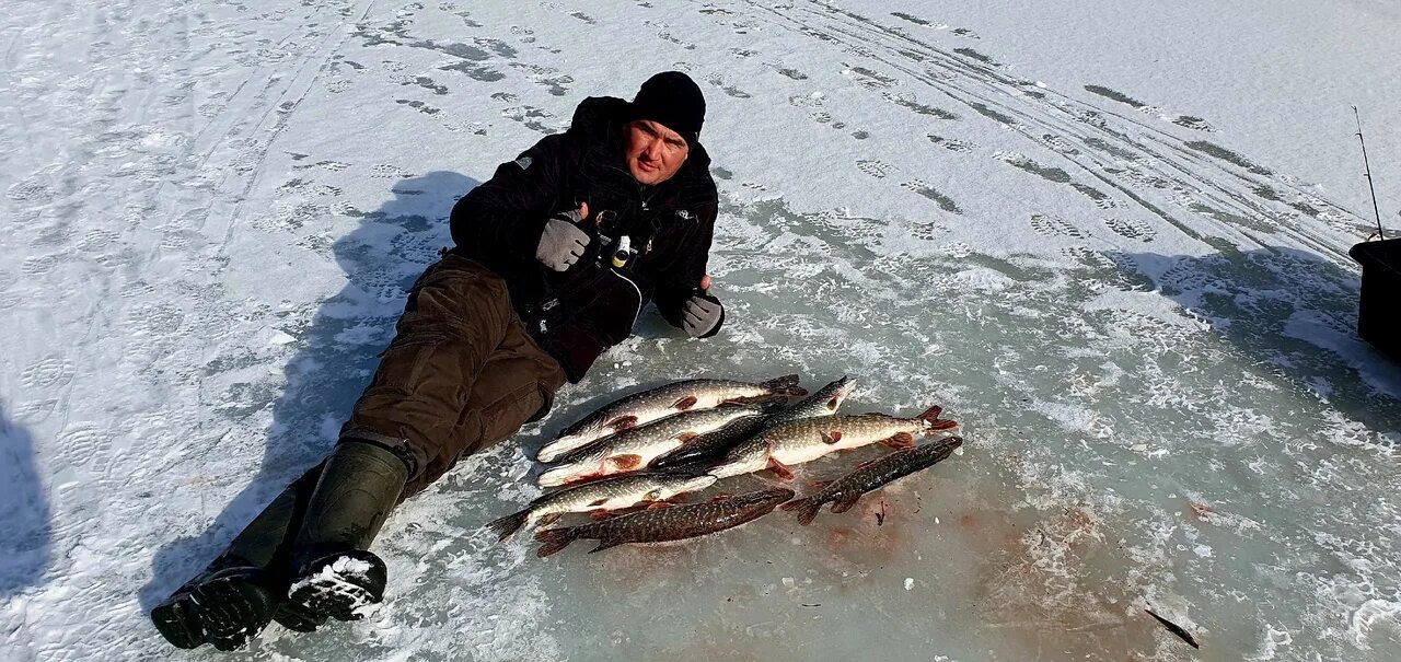 Зимняя рыбалка в якутии 2022. Рыбалка со льда 2023. Рыбалка на берша. Рыбалка со льда 2023. Рыбалка со льда 2023.