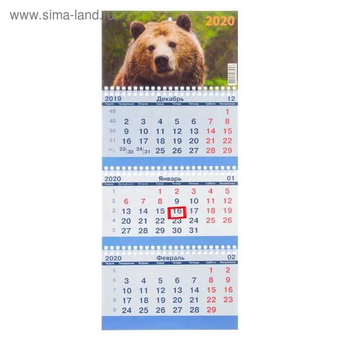 Золотой медвежонок 2021 победители. Кадры легенда о коловрате из фильма с медведем. Олимпиада русский медвежонок 2021. Медвежонок 2020. Золотой медвежонок 2022.