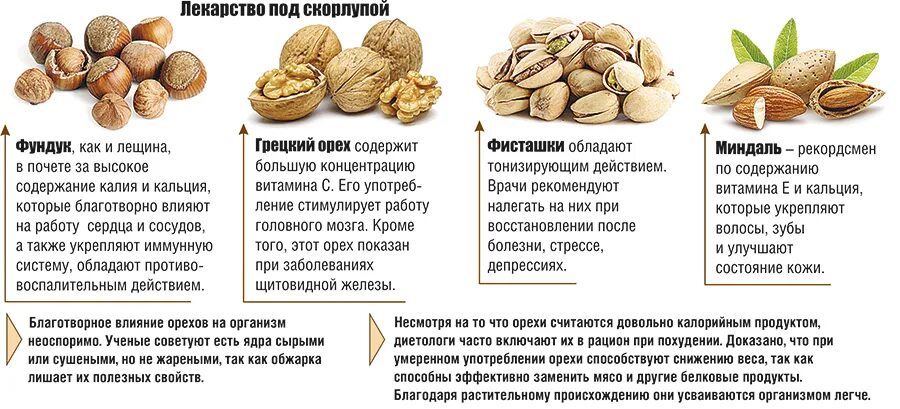 Орехи с описанием. Фундук миндаль грецкий орех. Пищевая ценность лесного ореха. Полезные орехи при гв.