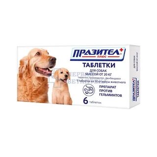 Какие таблетки дать собаке