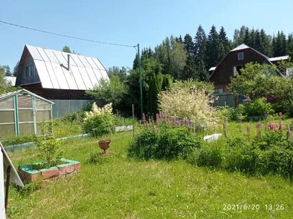 Авито солнечногорском