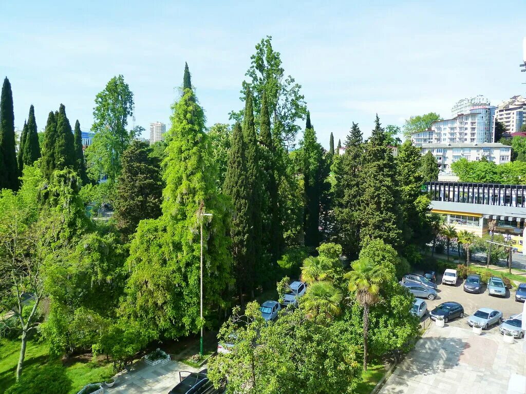 Г сочи курортный проспект 75 г. Курортный проспект 75 корпус 1 сочи. Курортный проспект 75д сочи. Курортный проспект 75 д. Проспект курортный, д.