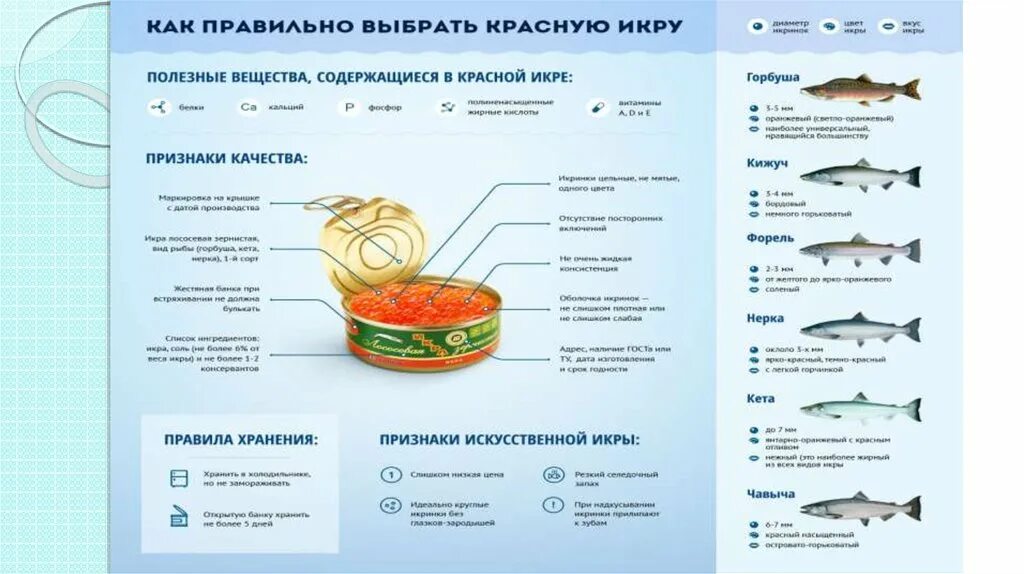 Икру каких рыб едят. Характеристика рыбной икре. Какие полезные вещества в красной икре. Икра разных рыб. Какие полезные вещества содержатся в красной икре.