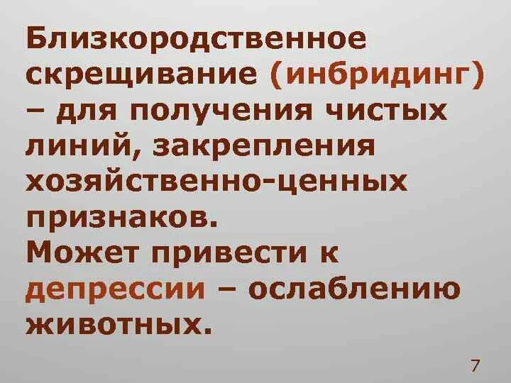 Близкородственное скрещивание получение чистых линий скрещивание. Близкородственное скрещивание. Инбридинг близкородственное скрещивание. Близкородственное скрещивание это в биологии. Близкородственное скрещивание это кратко.