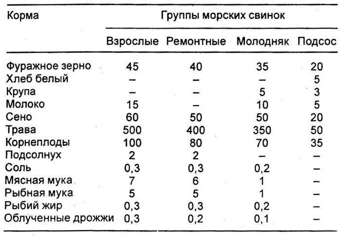 Что можно давать свинке. Рацион кормления морских свинок. Рацион питания морской свинки. Таблица питания морских свинок. Ежедневный рацион морской свинки.