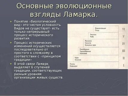 Единица эволюции по ламарку