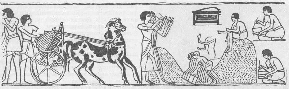 писцы собирают налоги в древнем египте. египетские фрески виноделия. древние сборы. древняя финикия оливковые деревья. фрески древнего египта номарха хнумхотепа ii.