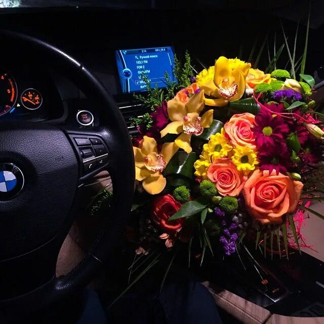 #lovely #romantic #bmw #girl Bmw girl, Bmw, Lovely car