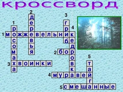 Кроссворд по природным зонам