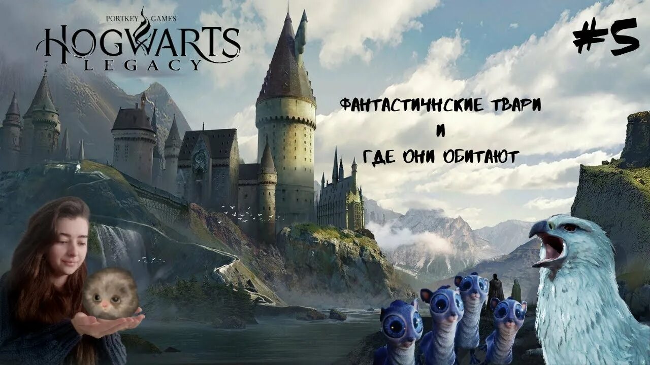 Спасите лунтеленка hogwarts. Fennah whittaker. Лунтеленок. Спасите лунтеленка hogwarts. Elden ring дракон эгхил.