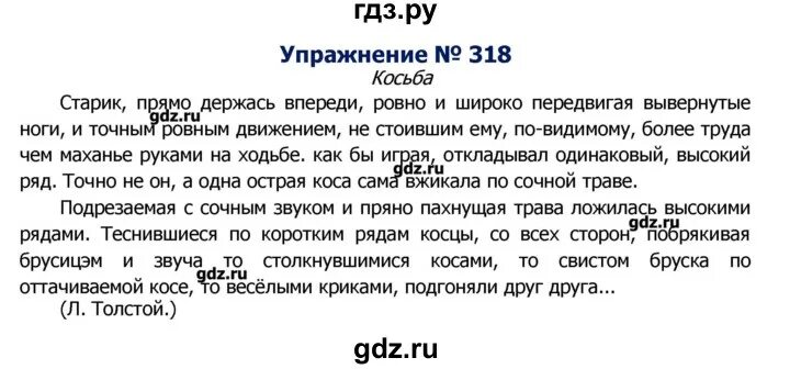 Русский 8 класс номер 318. Русский язык 8 класс упражнение 318. Русский язык 8 класс ладыженская номер 318.