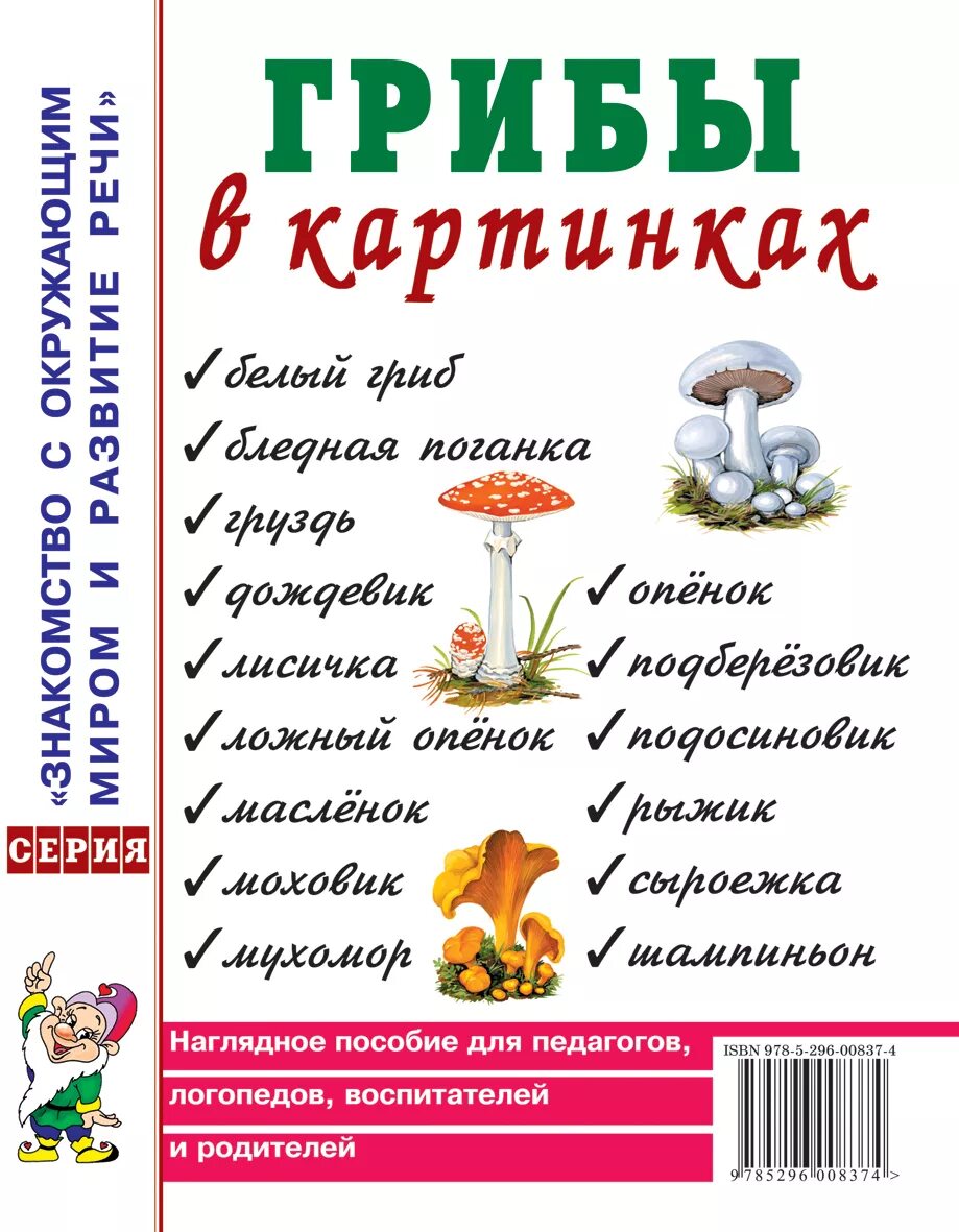 Наглядное пособие для воспитателей. Грибы в картинках наглядное пособие. наглядное пособие для педагогов в картинках грибы. наглядное пособие грибы для детского сада. наглядность грибы.