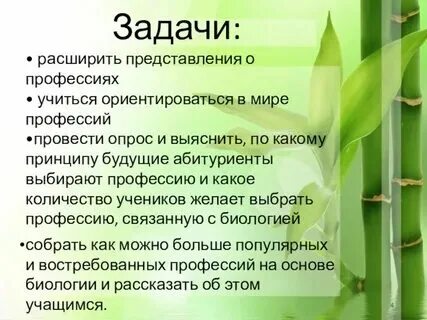 Человек природа ветеринар. Биотехнолог фармацевт. Список профессий связанных с биологией. Мультимедийная презентация профессия связанная с биологией. Биология в профессиях презентация.