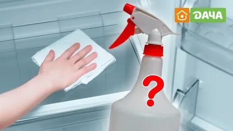 Как и чем отмыть полки в холодильнике