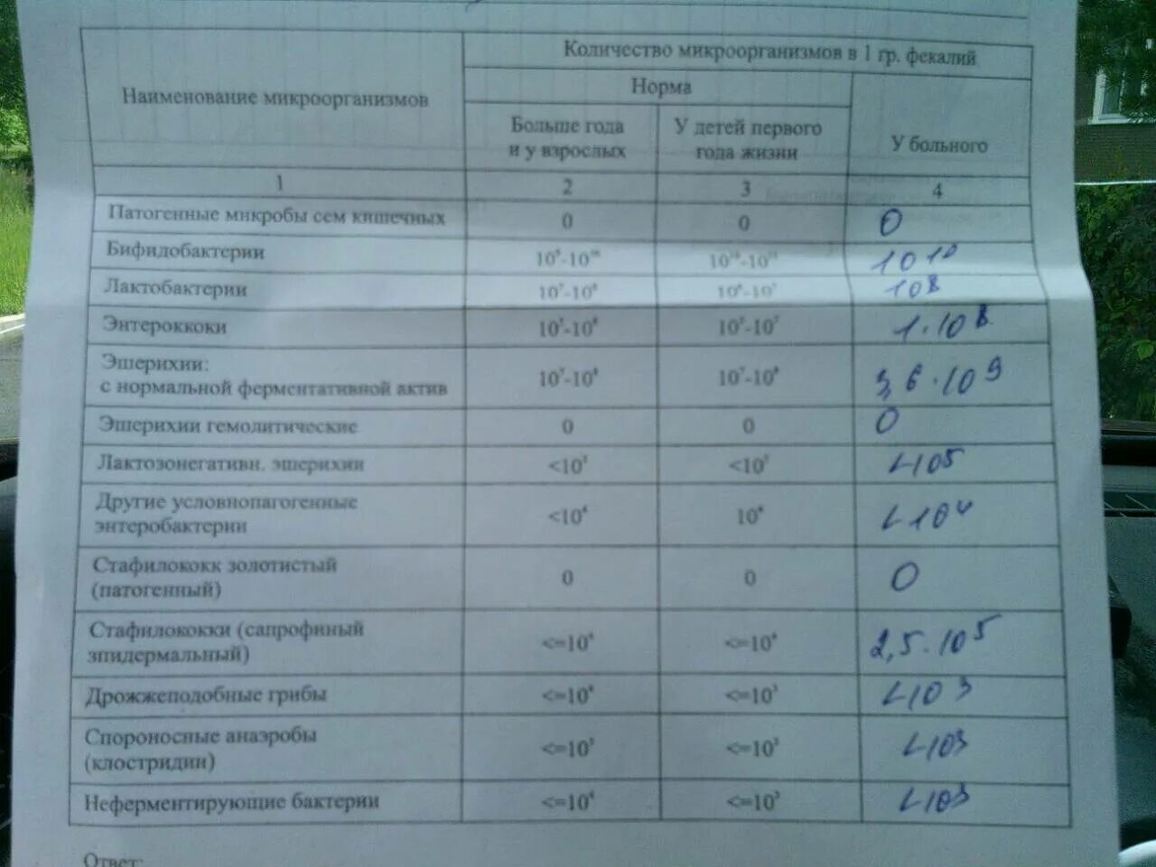 Расшифровка кала на дисбактериоз. Норма показателей кала на дисбактериоз. Норма анализа на дисбактериоз. Результат анализа на дисбактериоз. Дисбактериоз у ребенка норма.