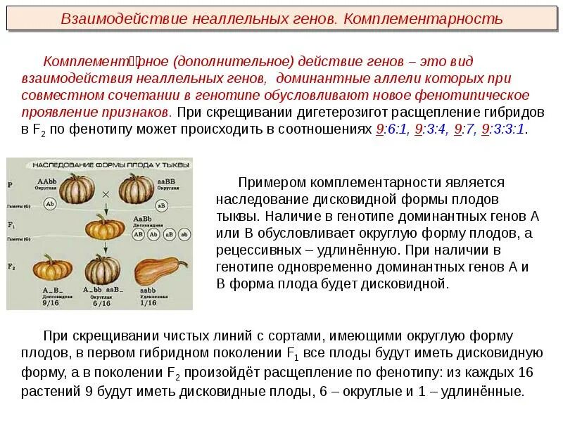 Генетические схемы взаимодействия неаллельных генов.. Комплементарное взаимодействие генов расщепление по фенотипу. Виды взаимодействия неаллельных генов. Типы взаимодействия неаллельных генов с расщеплением.