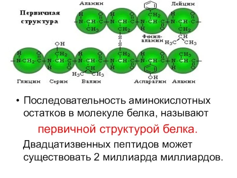 Изменение аминокислот последовательности белков. Последовательность аминокислотных остатков. Последовательность аминокислотных остатков в молекуле. Последовательность аминокислот в белке. Число аминокислотных остатков в молекуле.