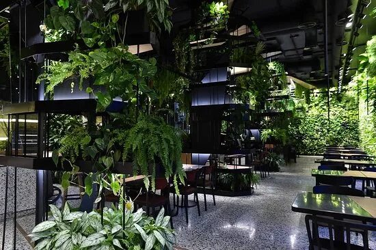 Меню и цены "Cafe Krasnodar" в Краснодаре - Яндекс Карты