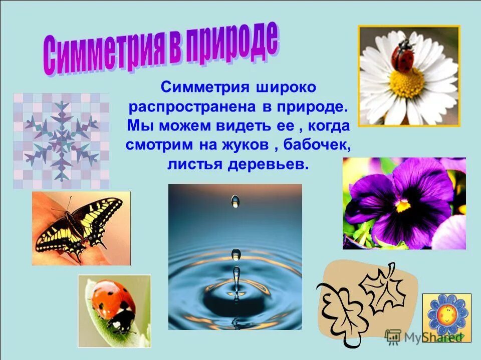 центральная симметрия в жизни. роль симметрии в жизни. симметрия в природе технике быту. центровая симметрия в природе. симметричные фигуры в природе.