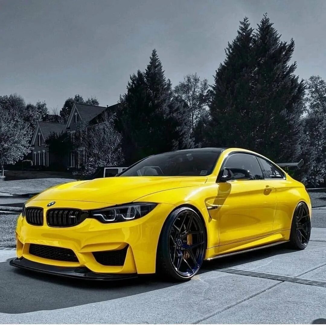 Bmw m4 f82 cs. Bmw m4 2018. Bmw m4 gt4. M4 sport. Bmw m4 sport.