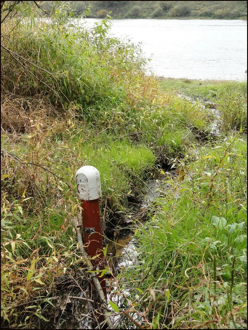 Торчащие из земли трубы. Труба торчащая из земли в лесу. Труба торчащая из земли в лесу. Труба торчит из земли. Труба торчит из земли.
