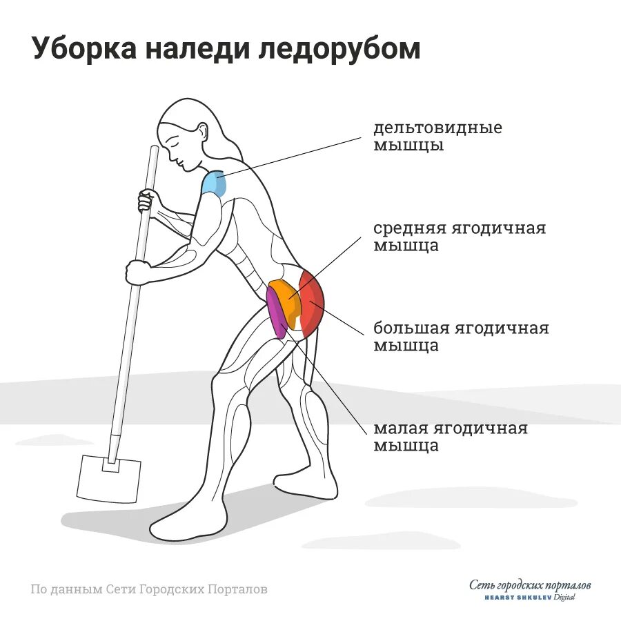 Уборка снега. Правильная лопата для снега. Какие мышцы задействованы при уборке снега лопатой. Сколько калорий сжигается при мытье полов дома. Калории при уборке.