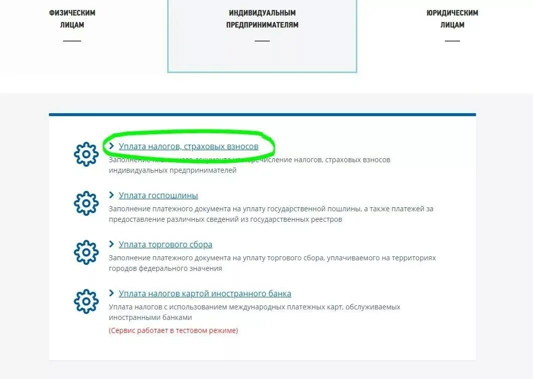 Как оплатить страховые взносы ИП после закрытия ИП. Как оплатить страховые взносы за ИП через госуслуги. Ответственность после закрытия ИП. Сайт налоговой оплатить страховые взносы