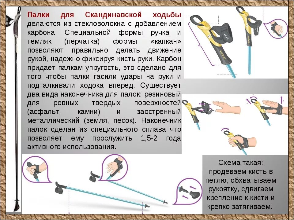 Как правильно настроить скандинавские палки. Как выбрать палки для скандинавской ходьбы. Палки для скандинавской ходьбы подобрать по росту. Как выбрать скандинавские палки.