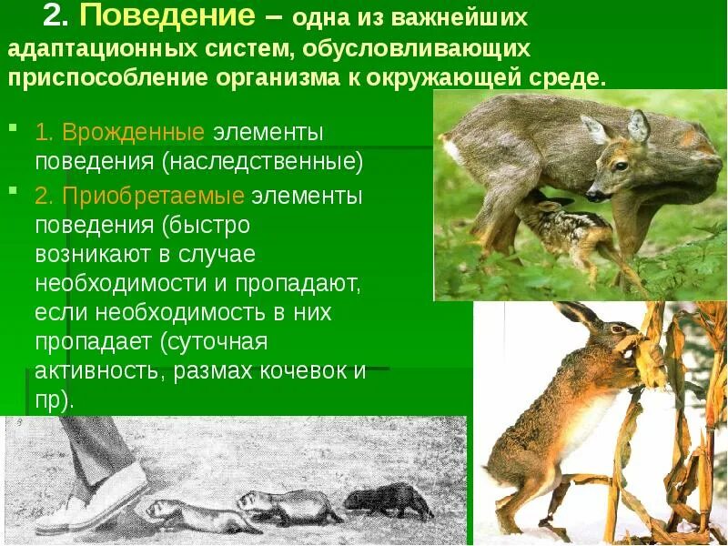 Поступок элемент