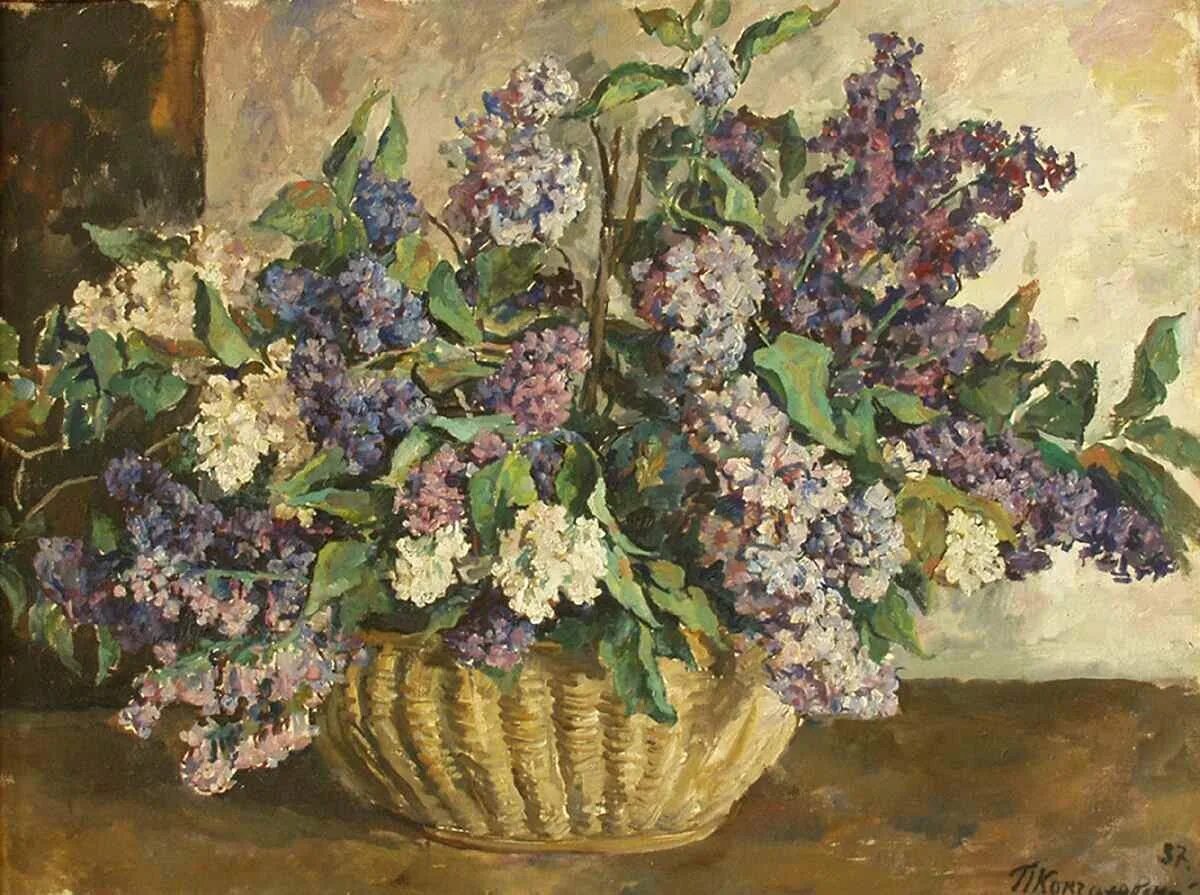 Кончаловский художник сирень в корзине. Кончаловский сирень. Кончаловский «сирень в корзине» (1933 г. П. Кончаловский художник сирень в корзине.